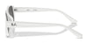 Ray-Ban RB4421D Sunglasses | Size 56 / Black №667787 / Dark Grey (3N 10.1%)