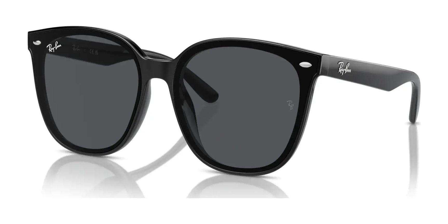 Ray-Ban RB4423D Sunglasses Black / Dark Grey Ray-Ban RB4423D Sunglasses Black / Dark Grey