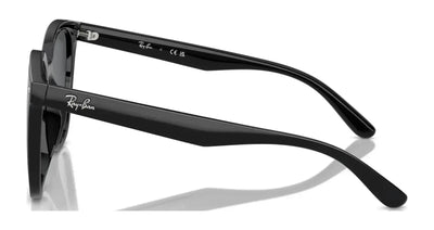 Ray-Ban RB4423D Sunglasses | Size 66