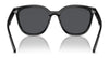 Ray-Ban RB4423D Sunglasses | Size 66 / Black №601/87 / Dark Grey (3N 9.3%)