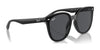 Ray-Ban RB4423D Sunglasses | Size 66 / Black №601/87 / Dark Grey (3N 9.3%)