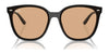 Ray-Ban RB4423D Sunglasses | Size 66 / Black №601/87 / Dark Grey (3N 9.3%)