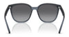 Ray-Ban RB4423D Sunglasses | Size 66 / Black №601/87 / Dark Grey (3N 9.3%)