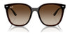 Ray-Ban RB4423D Sunglasses | Size 66 / Black №601/87 / Dark Grey (3N 9.3%)