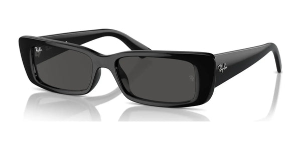 Ray-Ban TERU RB4425F Sunglasses | Size 54 / Black №667787 / Dark Grey (3N 10.1%)