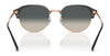 Ray-Ban RB4429 Sunglasses / Black On Gold №601/31 / Green (3N 13.2%) / Size 53