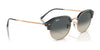 Ray-Ban RB4429 Sunglasses / Black On Gold №601/31 / Green (3N 13.2%) / Size 53