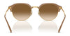 Ray-Ban RB4429 Sunglasses / Black On Gold №601/31 / Green (3N 13.2%) / Size 53