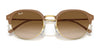 Ray-Ban RB4429 Sunglasses / Black On Gold №601/31 / Green (3N 13.2%) / Size 53