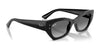 Ray-Ban ZENA RB4430 Sunglasses / Black №667787 / Dark Grey (3N 10.1%) / Size 49