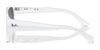 Ray-Ban ZENA RB4430 Sunglasses / Black №667787 / Dark Grey (3N 10.1%) / Size 49
