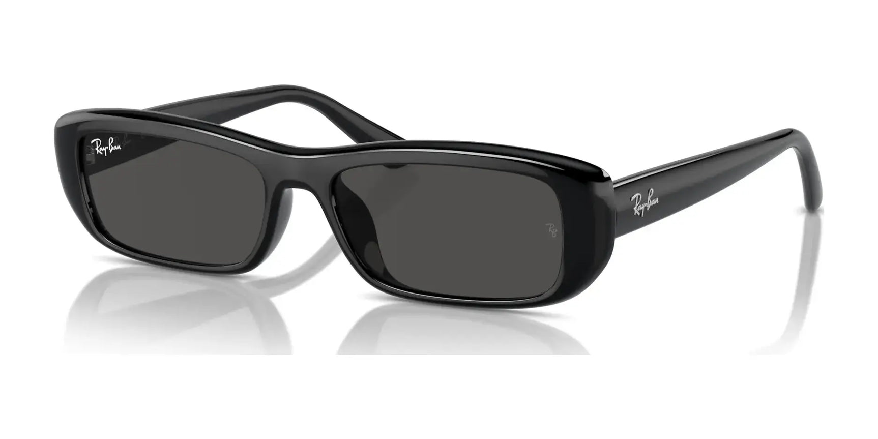 Ray-Ban RB4436D Sunglasses Black / Dark Grey Ray-Ban RB4436D Sunglasses Black / Dark Grey