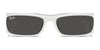 Ray-Ban RB4436D Sunglasses | Size 55 / Black №667787 / Dark Grey (3N 10.1%)