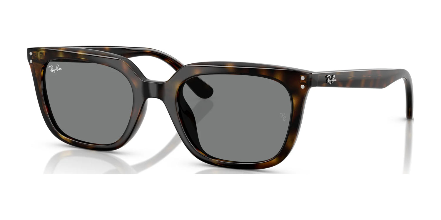 Ray-Ban RB4439D Sunglasses | Size 54 Ray-Ban RB4439D Sunglasses | Size 54