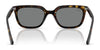 Ray-Ban RB4439D Sunglasses | Size 54 / Black №901/87 / Dark Grey (3N 10.1%)