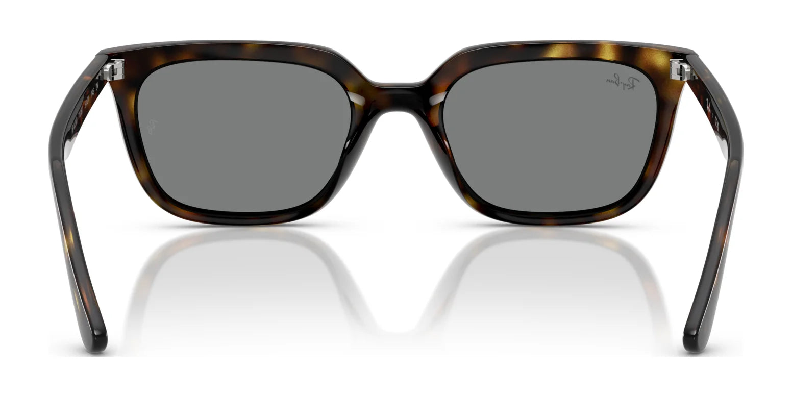 Ray-Ban RB4439D Sunglasses | Size 54 Ray-Ban RB4439D Sunglasses | Size 54