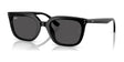 Ray-Ban RB4439D Sunglasses Black / Dark Grey Ray-Ban RB4439D Sunglasses Black / Dark Grey