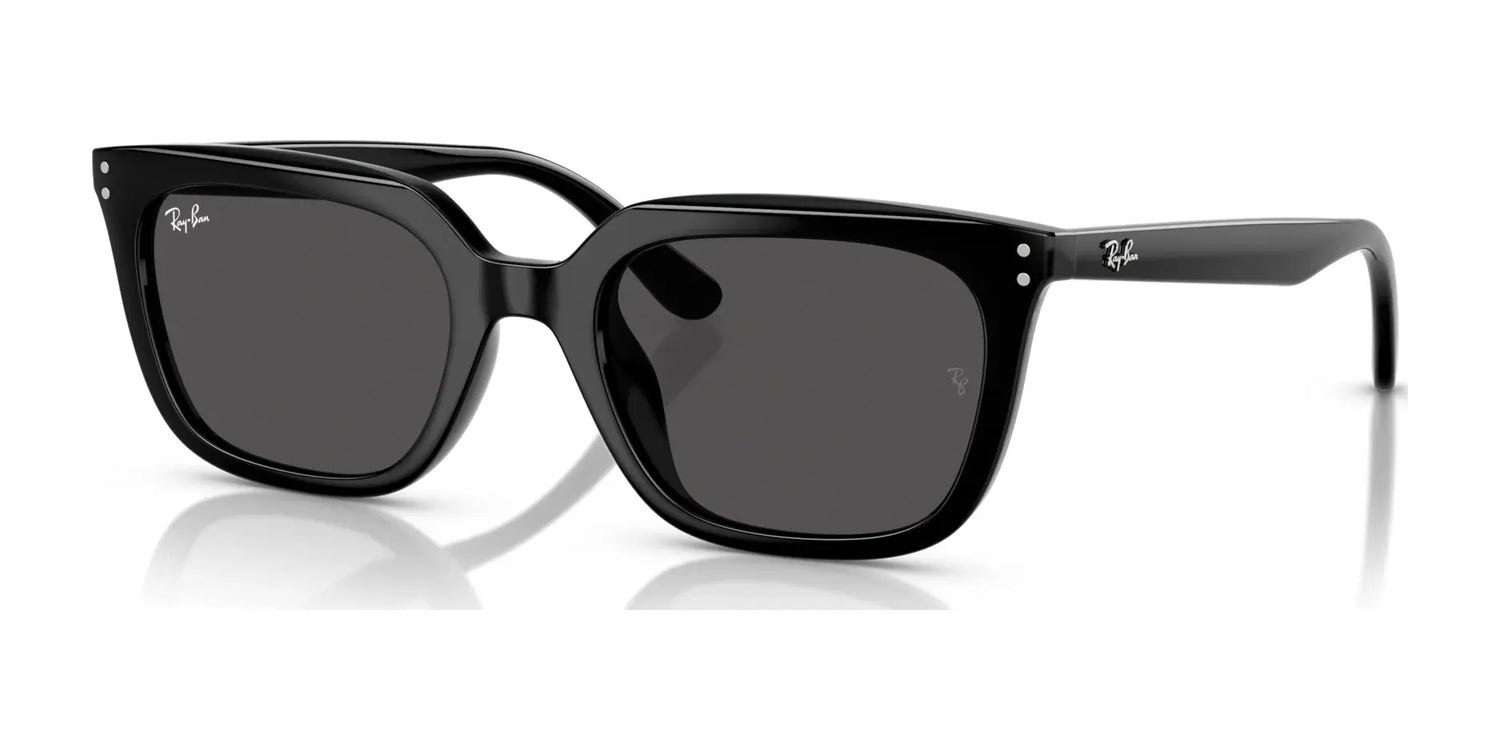 Ray-Ban RB4439D Sunglasses Black / Dark Grey Ray-Ban RB4439D Sunglasses Black / Dark Grey