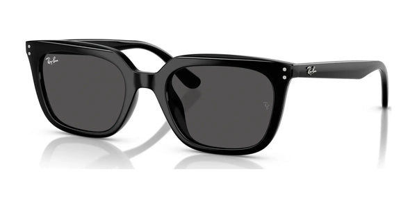 Ray-Ban RB4439D Sunglasses | Size 54 / Black №901/87 / Dark Grey (3N 10.1%)