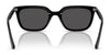 Ray-Ban RB4439D Sunglasses | Size 54 / Black №901/87 / Dark Grey (3N 10.1%)