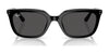 Ray-Ban RB4439D Sunglasses | Size 54 / Black №901/87 / Dark Grey (3N 10.1%)
