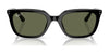 Ray-Ban RB4439D Sunglasses | Size 54 / Black №901/87 / Dark Grey (3N 10.1%)