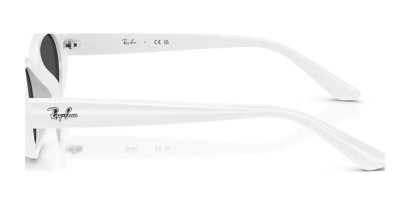 Ray-Ban RB4441D Sunglasses | Size 53 Ray-Ban RB4441D Sunglasses | Size 53