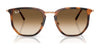 Ray-Ban RB4451 Sunglasses / Black №601/B1 / Dark Grey (3N 15.30%) / Size 50