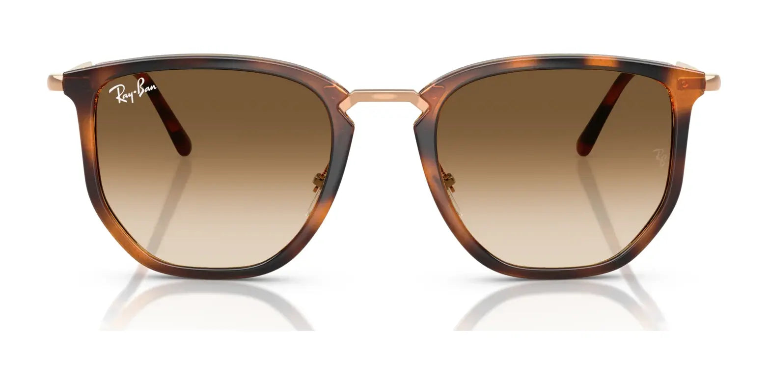 Ray-Ban RB4451 Sunglasses Ray-Ban RB4451 Sunglasses