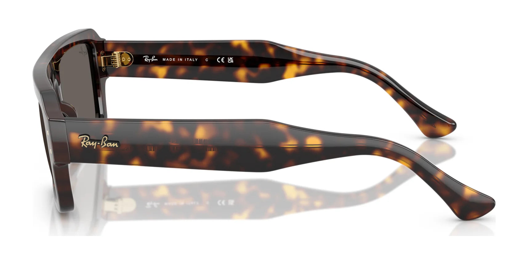 Ray-Ban LUKAS RB4454 Sunglasses Ray-Ban LUKAS RB4454 Sunglasses