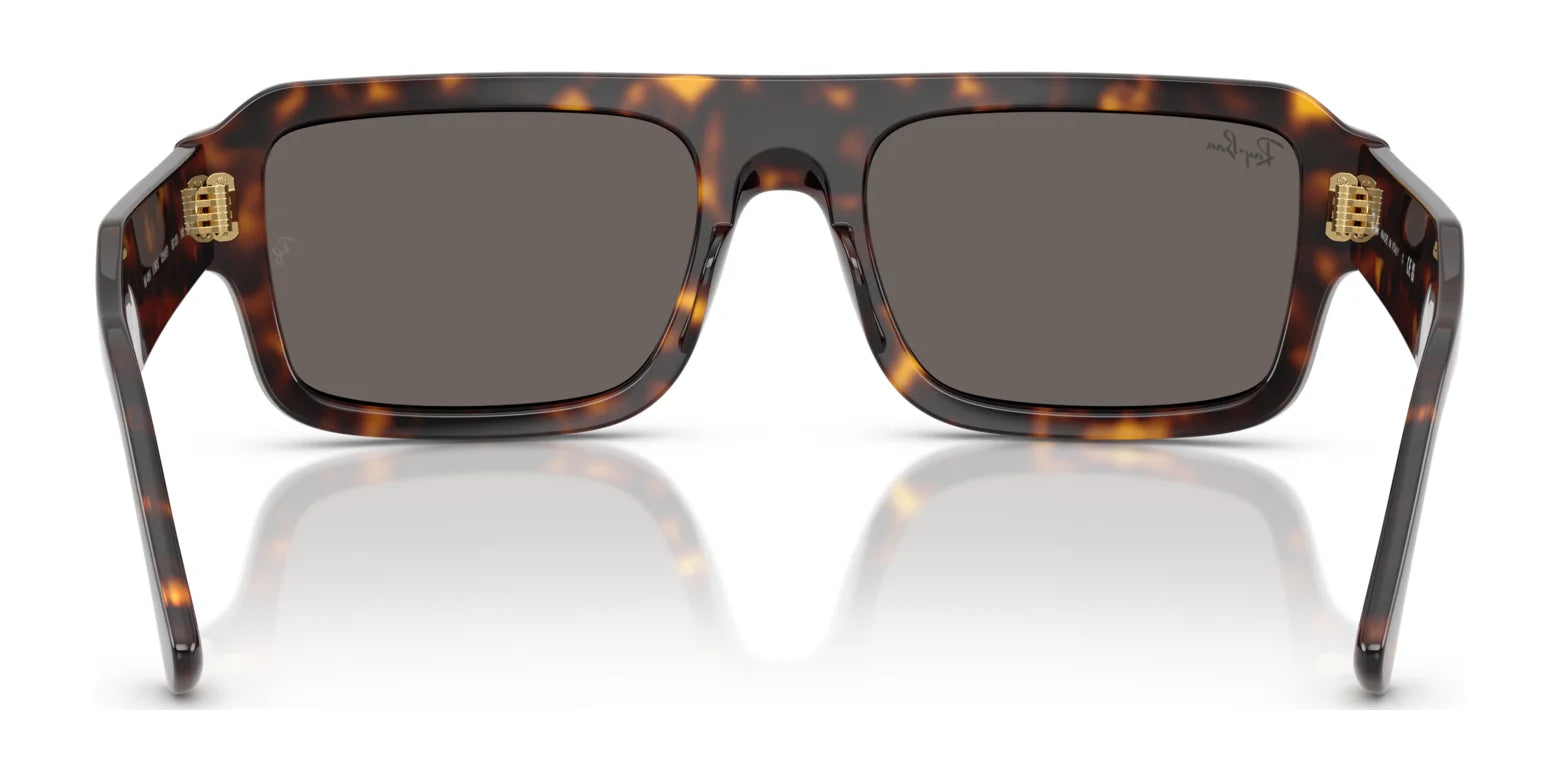 Ray-Ban LUKAS RB4454 Sunglasses Ray-Ban LUKAS RB4454 Sunglasses