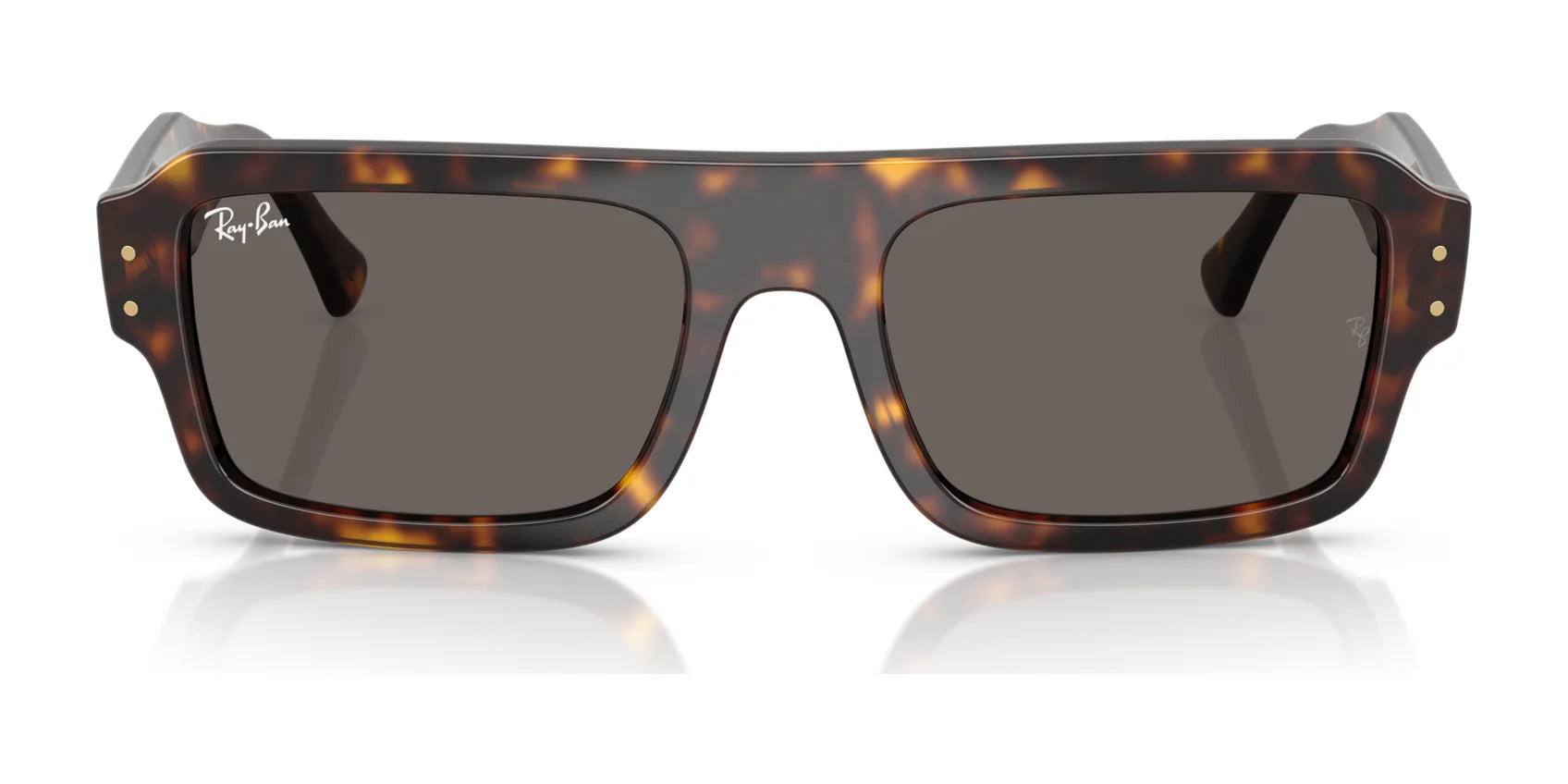 Ray-Ban LUKAS RB4454 Sunglasses Ray-Ban LUKAS RB4454 Sunglasses