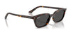 Ray-Ban ZAYA RB4456 Sunglasses / Cloudy Natural Pink №681182 / Dark Green (2N 19.6%) / Size 50