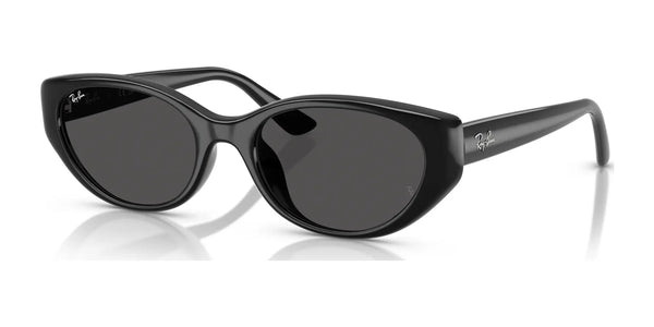Ray-Ban RB4457D Sunglasses | Size 55 / Opal Beige №678673 / Dark Brown (3N 13.3%)