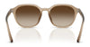 Ray-Ban RB4459D Sunglasses | Size 54 / Black №901/87 / Dark Grey (3N 9.9%)