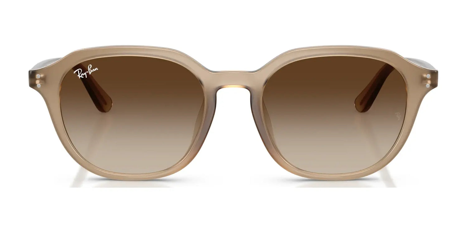 Ray-Ban RB4459D Sunglasses | Size 54 Ray-Ban RB4459D Sunglasses | Size 54