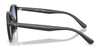 Ray-Ban RB4459D Sunglasses | Size 54 / Black №901/87 / Dark Grey (3N 9.9%)