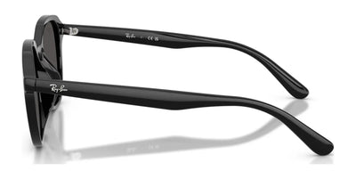 Ray-Ban RB4459D Sunglasses | Size 54