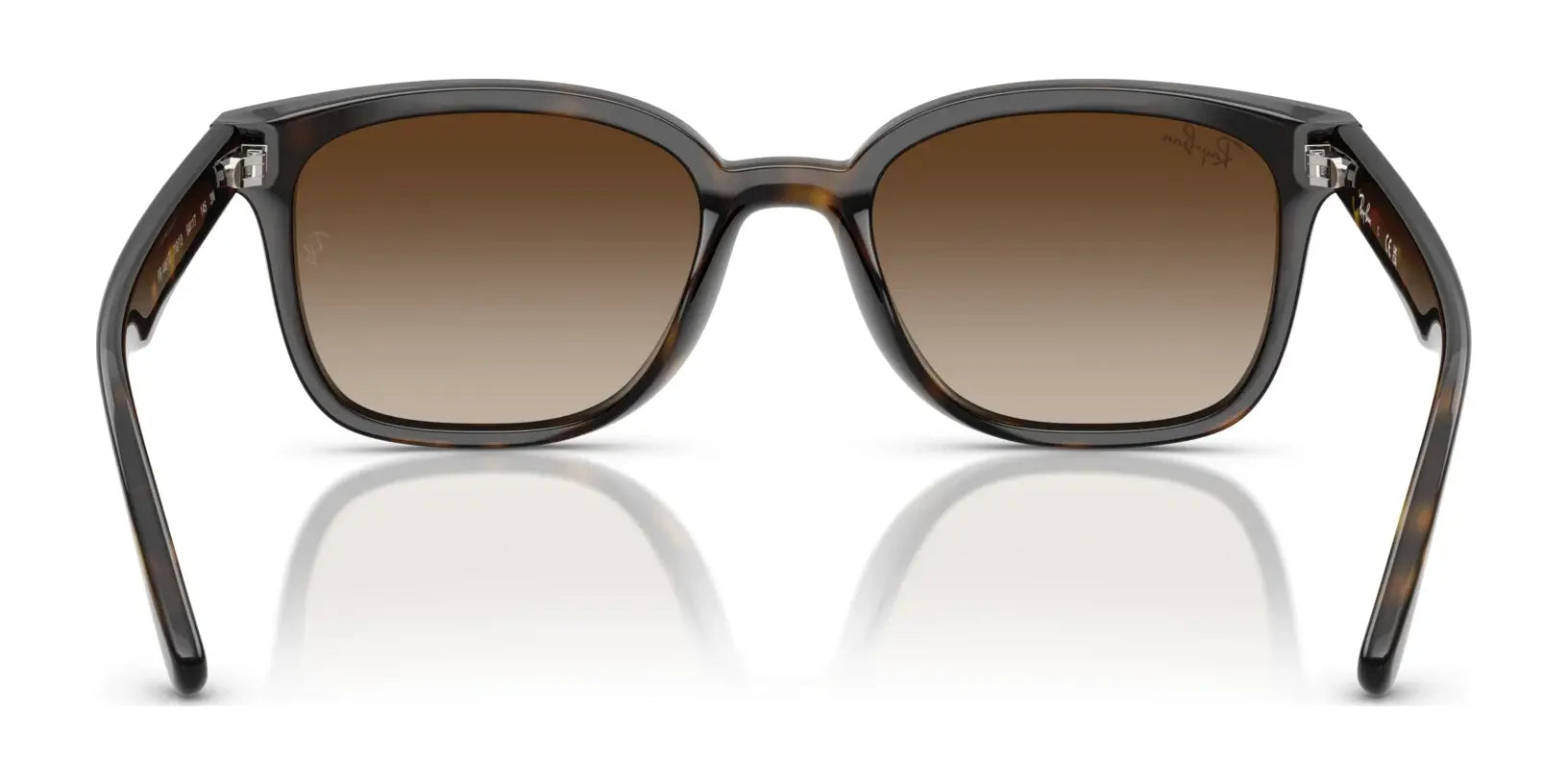 Ray-Ban RB4461D Sunglasses | Size 64 Ray-Ban RB4461D Sunglasses | Size 64