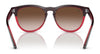 Ray-Ban IRIS RB4471 Sunglasses | Size 54 / Black №662971 / Dark Green (3N 14.3%)