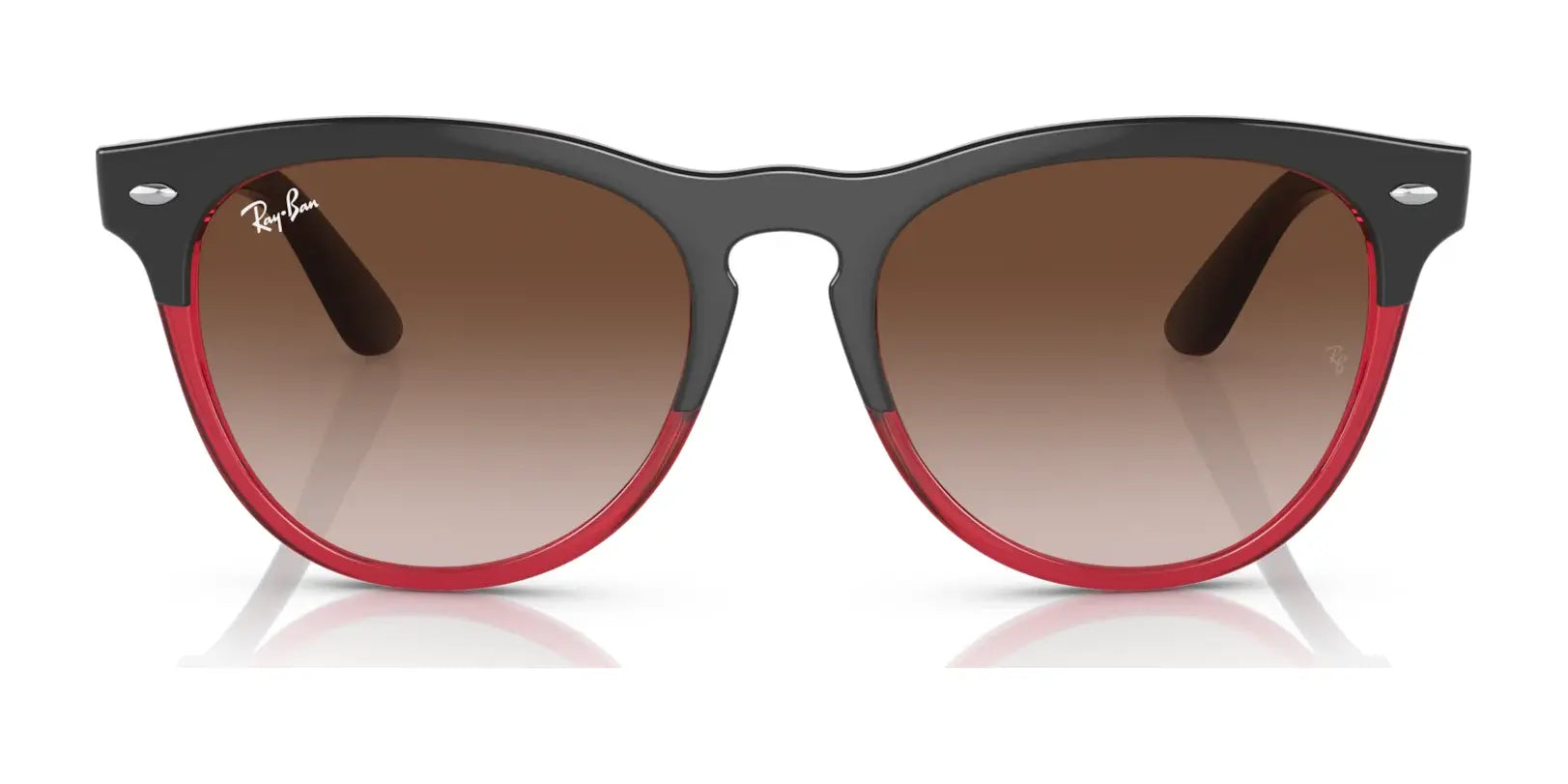 Ray-Ban IRIS RB4471 Sunglasses | Size 54 Ray-Ban IRIS RB4471 Sunglasses | Size 54