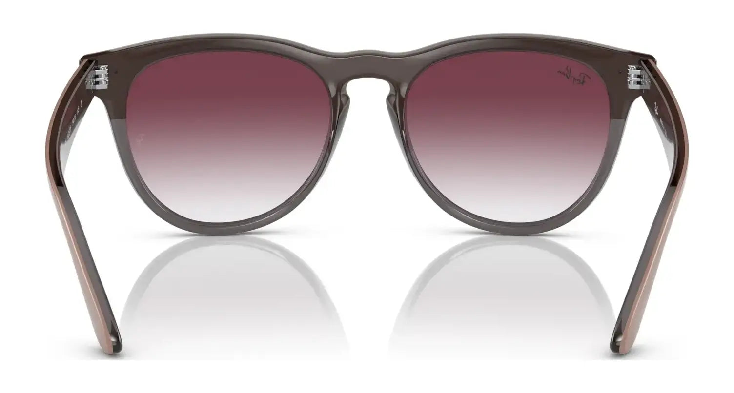 Ray-Ban IRIS RB4471 Sunglasses | Size 54 Ray-Ban IRIS RB4471 Sunglasses | Size 54