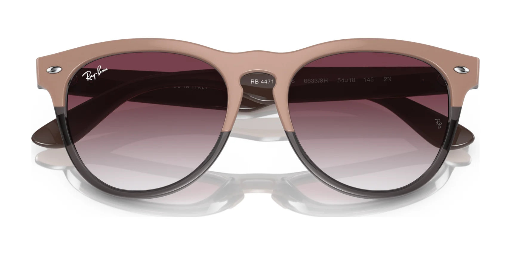 Ray-Ban IRIS RB4471 Sunglasses | Size 54 Ray-Ban IRIS RB4471 Sunglasses | Size 54