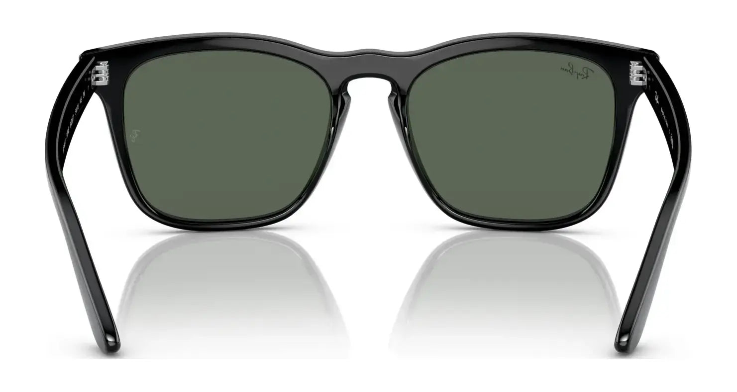 Ray-Ban STEVE RB4487 Sunglasses | Size 54 Ray-Ban STEVE RB4487 Sunglasses | Size 54