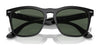 Ray-Ban STEVE RB4487 Sunglasses | Size 54 / Black №662971 / Dark Green (3N 14.3%)