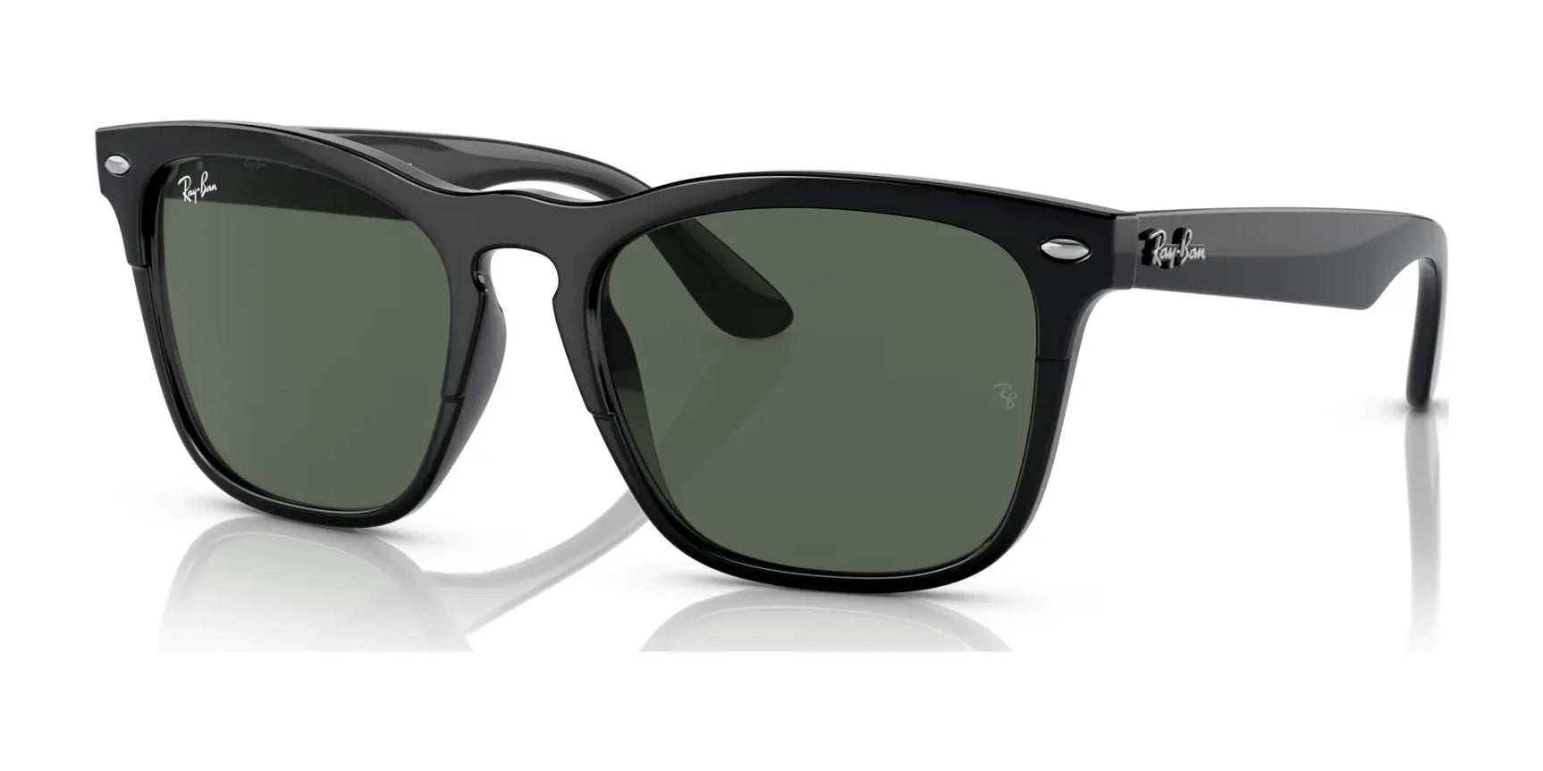 Ray-Ban STEVE RB4487F Sunglasses Black / Dark Green Ray-Ban STEVE RB4487F Sunglasses Black / Dark Green