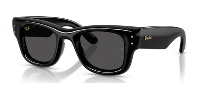Ray-Ban WAYFARER PUFFER RB4940 Sunglasses Black / Ultra Black