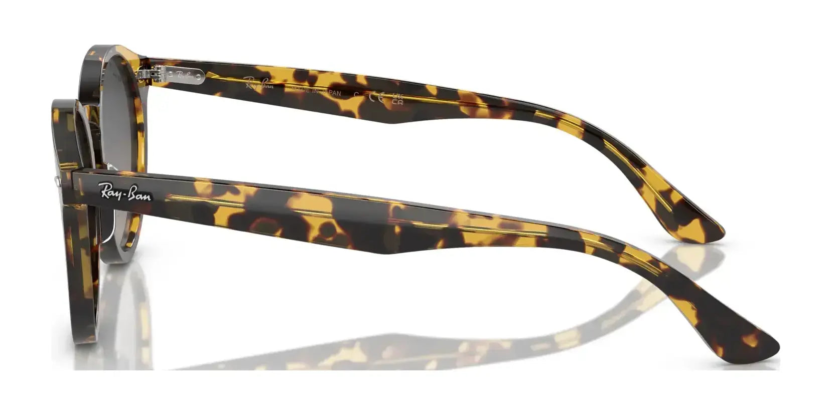 Ray-Ban LARRY RB7680S Sunglasses Ray-Ban LARRY RB7680S Sunglasses