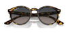 Ray-Ban LARRY RB7680S Sunglasses / Black №901/31 / Green (3N 13.2%) / Size 49