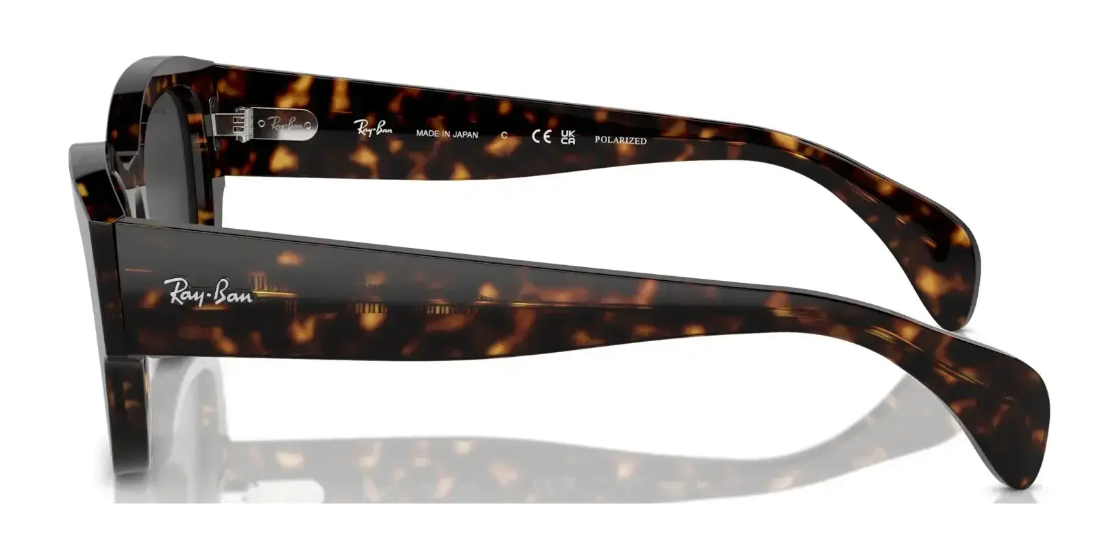 Ray-Ban JORGE RB7681S Sunglasses | Size 52 Ray-Ban JORGE RB7681S Sunglasses | Size 52